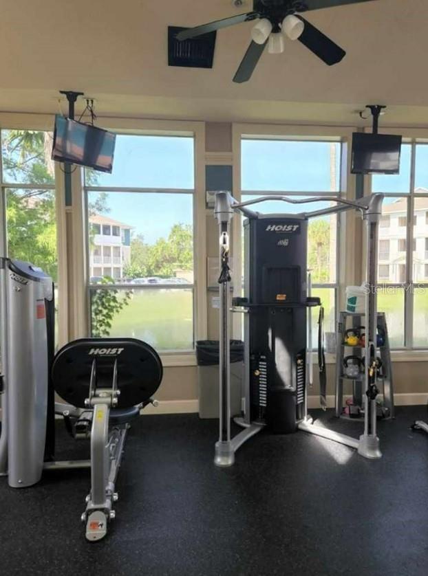 THE PALMS OF CORTEZ - Residential Lease