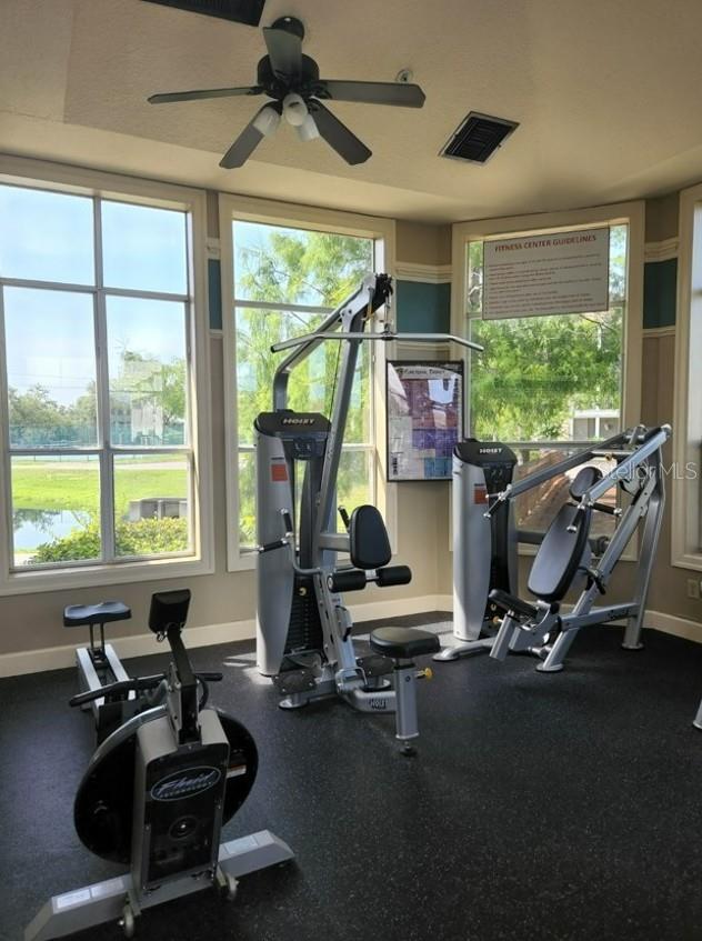 THE PALMS OF CORTEZ - Residential Lease