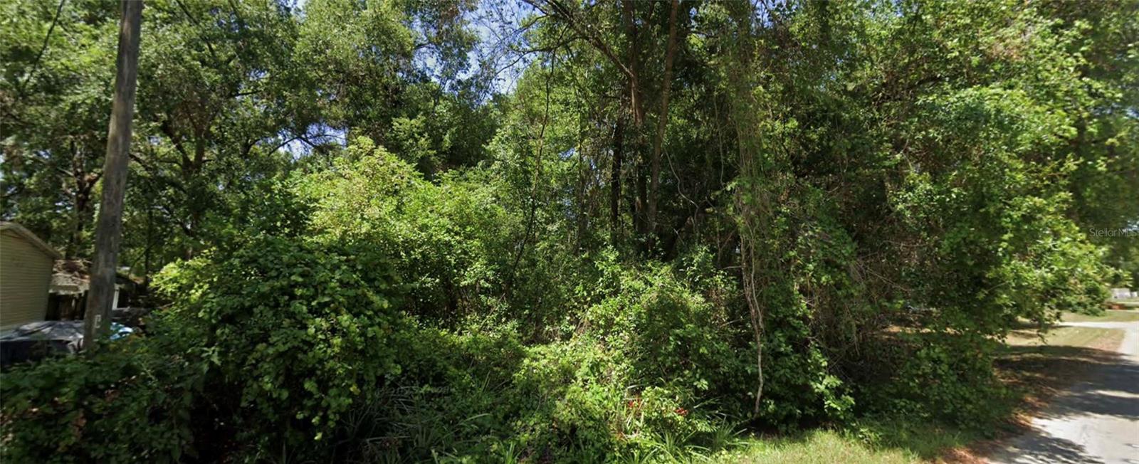 LITTLE LK WEIR - Land