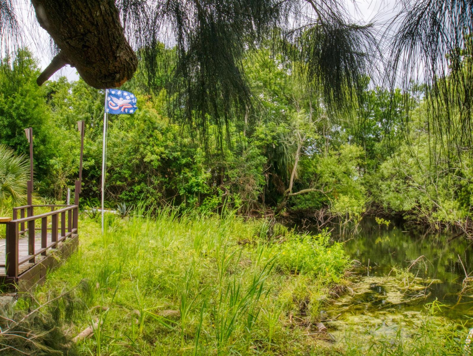 Turnbull Plantation Ph 01 - Residential