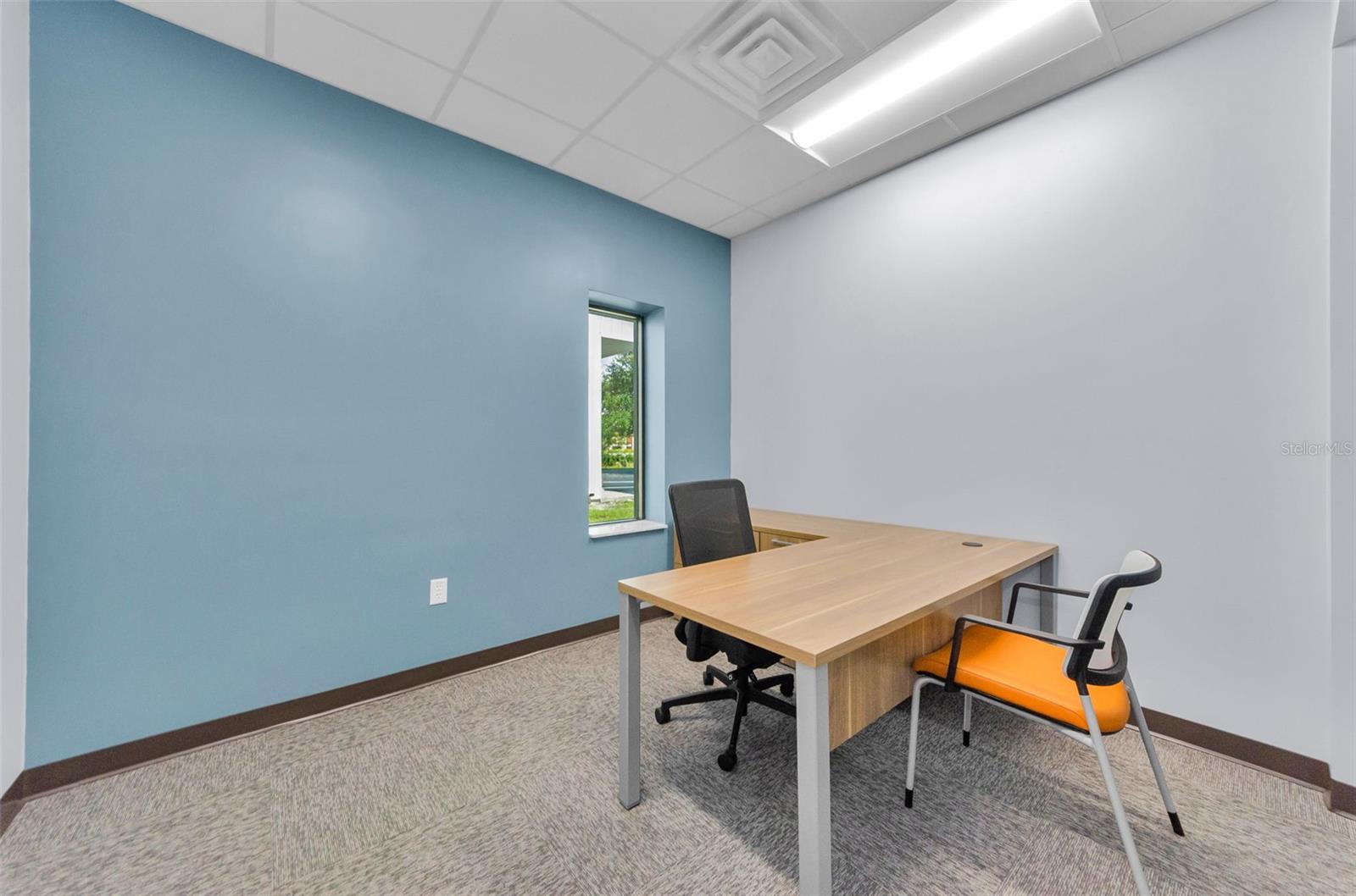 PINELLAS GROVES - Commercial Lease