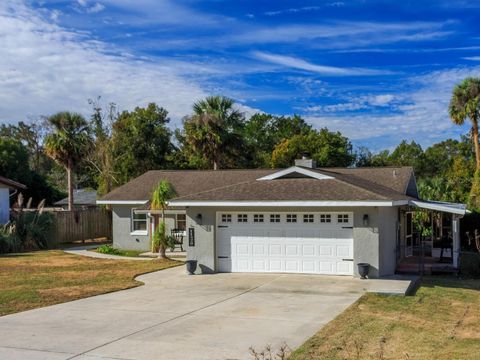 A home in BELLEVIEW