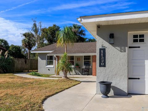 A home in BELLEVIEW