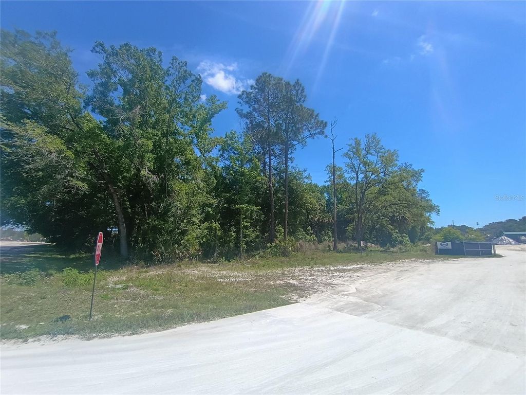 Photo of 79 Cr-304, Bunnell, FL 32110 (MLS # S5148833)