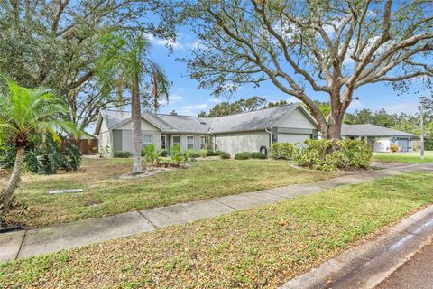 A home in BRADENTON