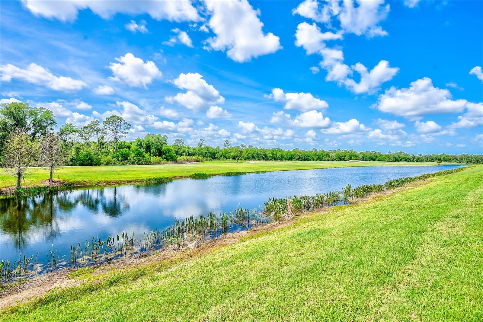 TERRACE VIII AT LAKEWOOD NATIONAL PH I - Residential