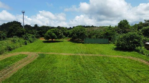 CARR 490 HATO ARRIBA,ARECIBO  00612