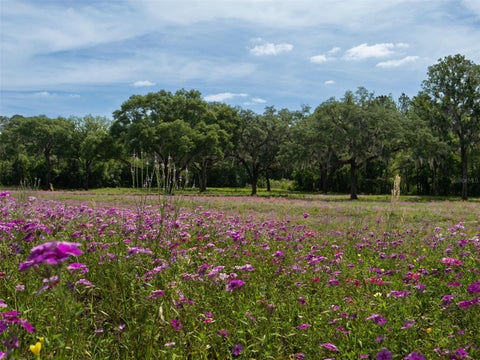 Tiny photo for Tbd SE 111th Place, Ocala, FL 34480 (MLS # OM722387)