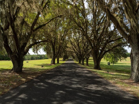 Tiny photo for Tbd SE 111th Place, Ocala, FL 34480 (MLS # OM722387)