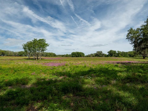 Tiny photo for Tbd SE 111th Place, Ocala, FL 34480 (MLS # OM722387)