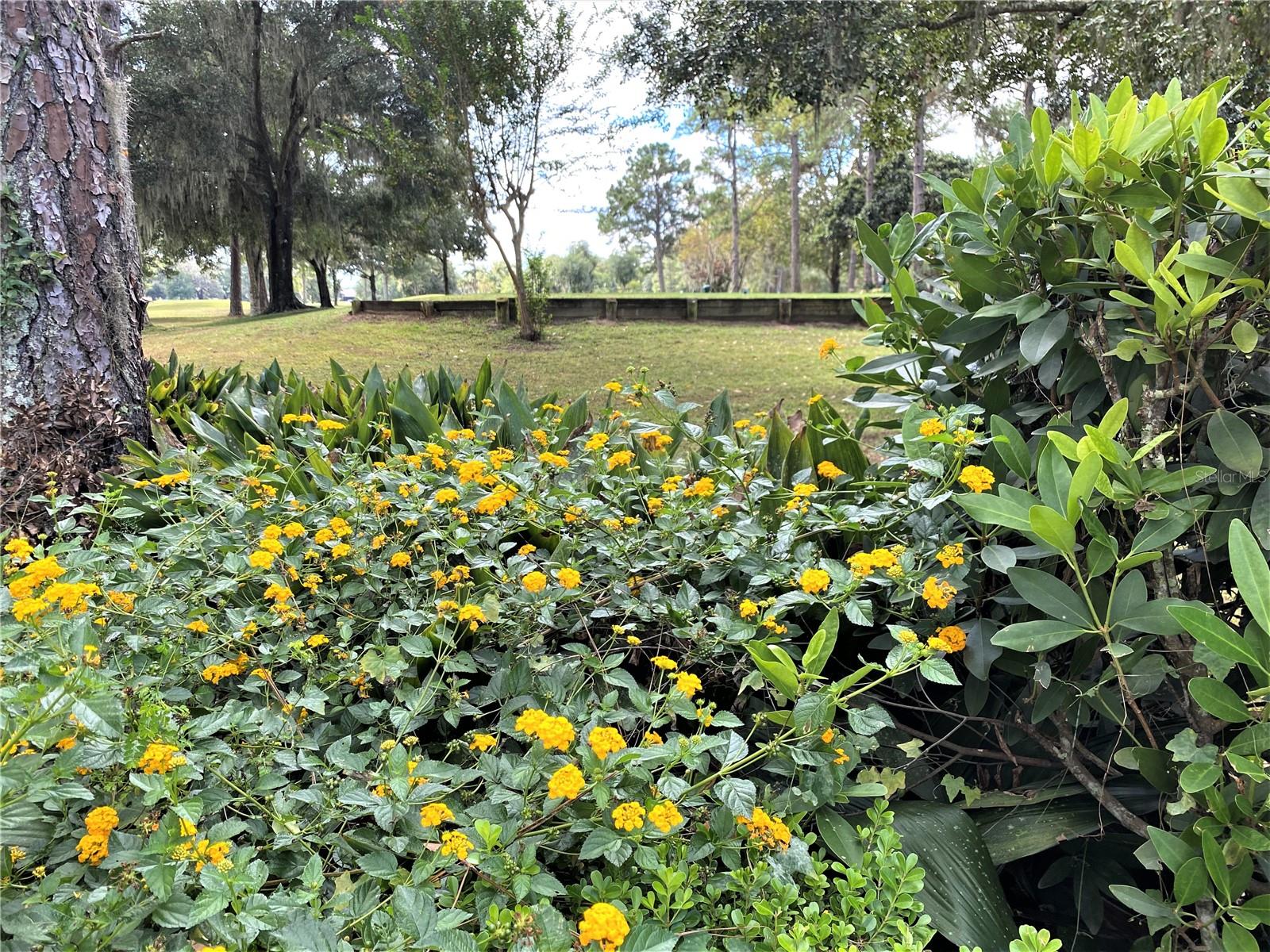 TURKEY CREEK - Residential