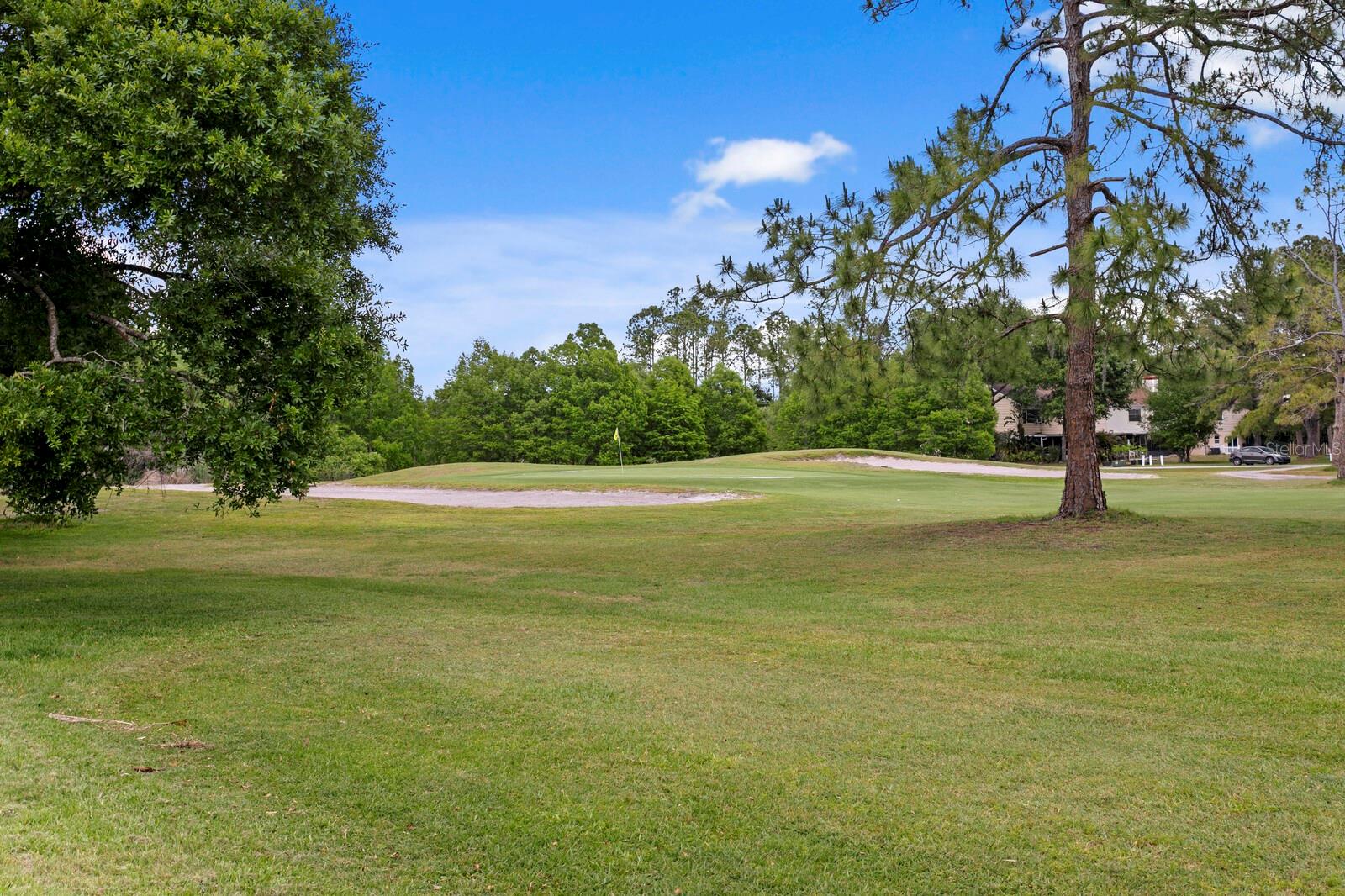 16701 E COURSE DRIVE