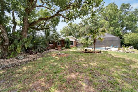 A home in LAND O LAKES