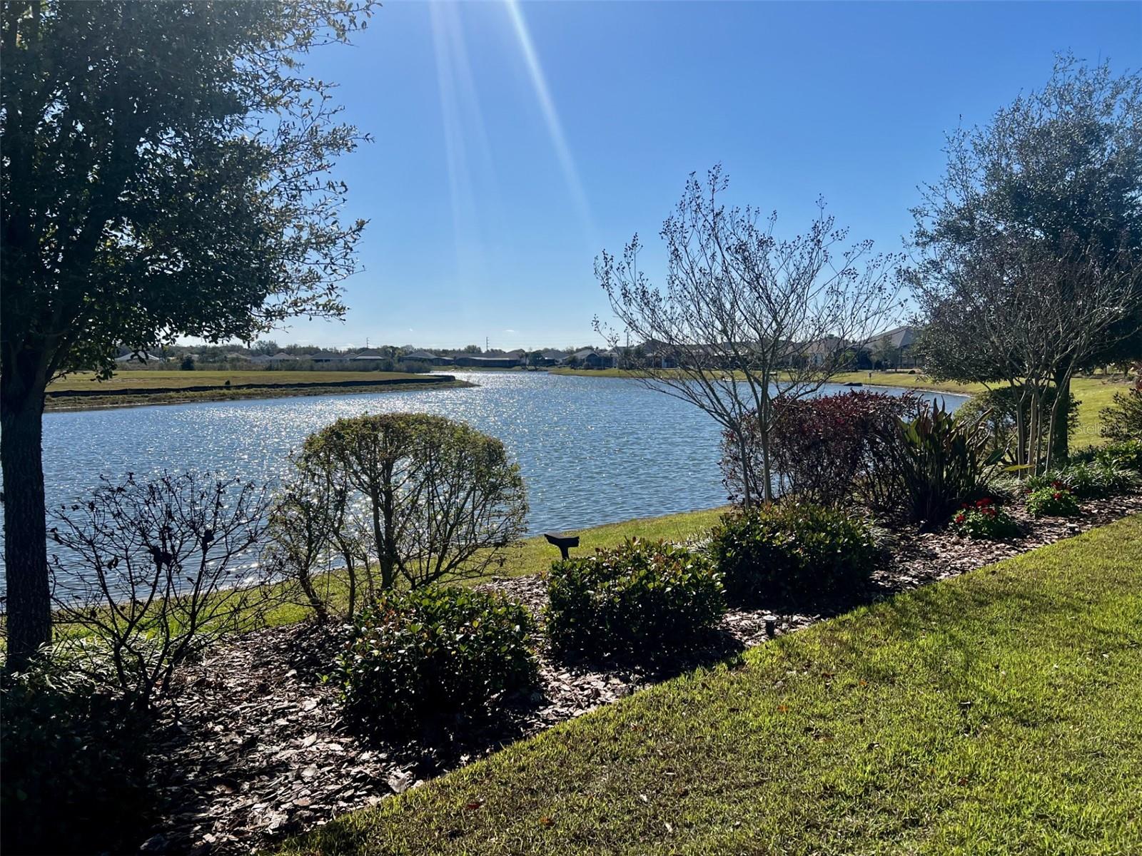 LAKES OF MOUNT DORA - Residential