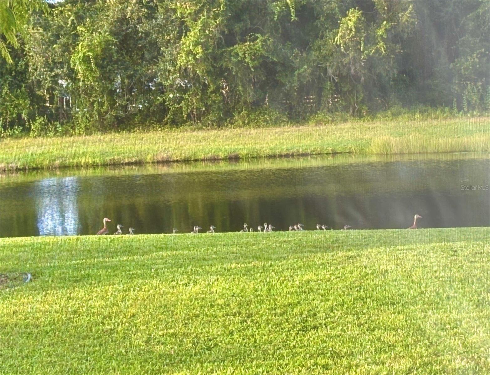 MILL CREEK PH VII-B - Residential