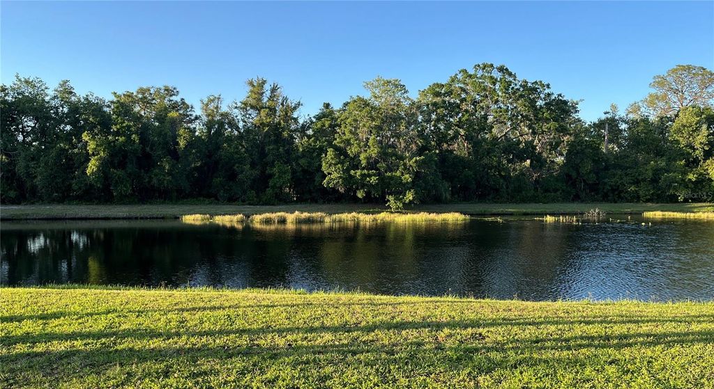 Photo of 15207 17th Avenue E, Bradenton, FL 34212 (MLS # A4672069)