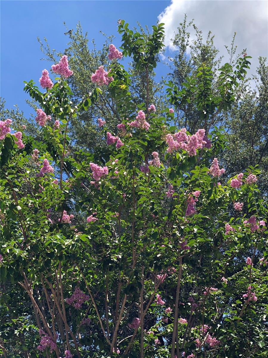 MILL CREEK PH VII-B - Residential