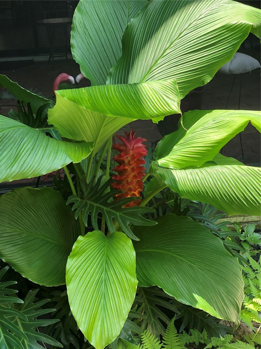 MILL CREEK PH VII-B - Residential