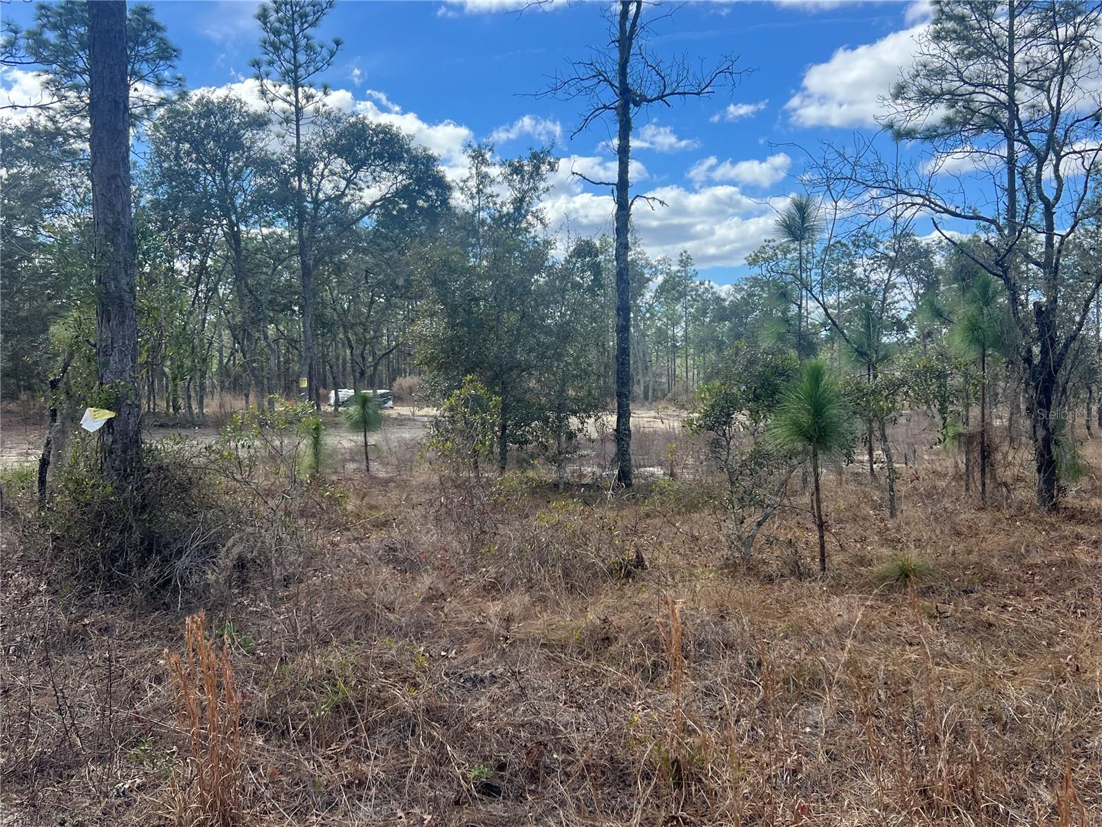 RAINBOW LAKES ESTATES SEC N - Land