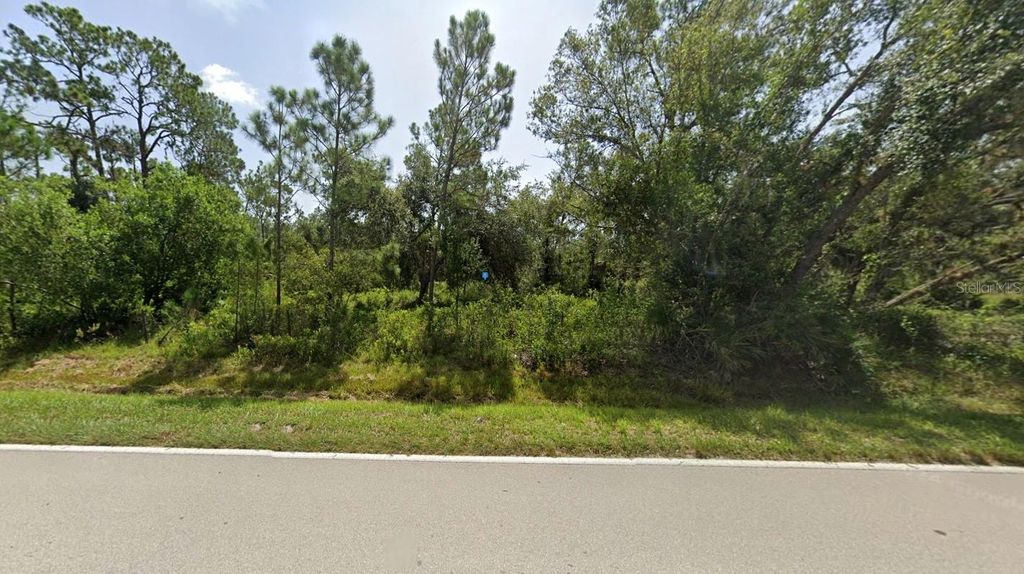 Photo of 1747 SW Gator Trail, Arcadia, FL 34266 (MLS # A4669080)