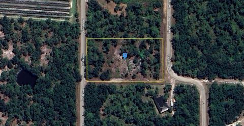 Photo of 1747 SW Gator Trail, Arcadia, FL 34266 (MLS # A4669080)