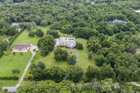 A home in MOUNT DORA