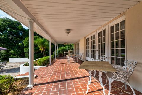 A home in MOUNT DORA