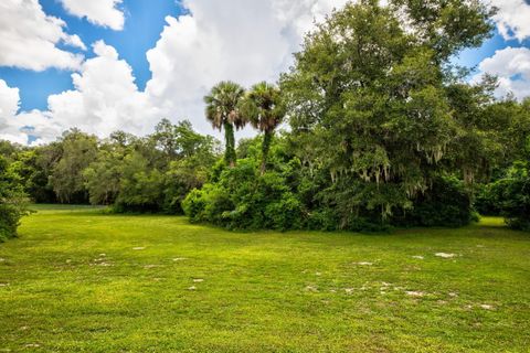 A home in MOUNT DORA