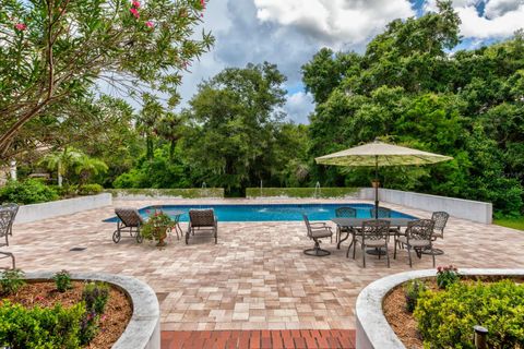 A home in MOUNT DORA