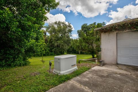 A home in MOUNT DORA