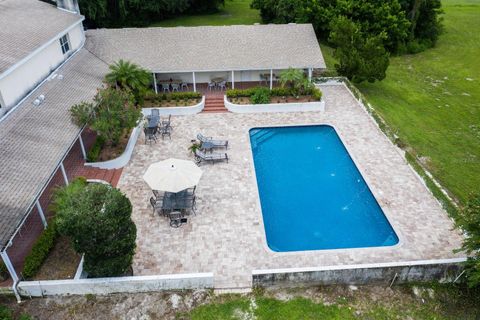 A home in MOUNT DORA