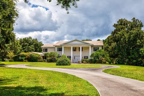 A home in MOUNT DORA