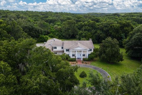 A home in MOUNT DORA