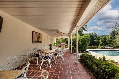 A home in MOUNT DORA