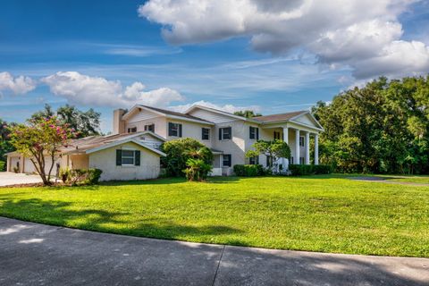 A home in MOUNT DORA