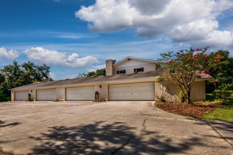 A home in MOUNT DORA