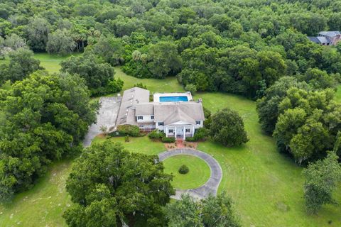 A home in MOUNT DORA