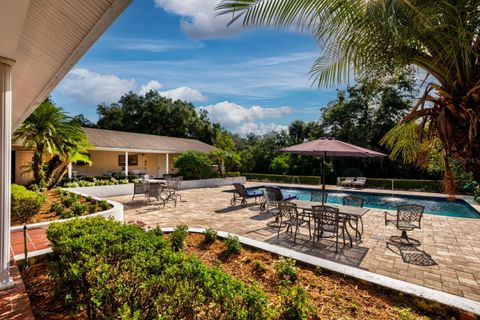 A home in MOUNT DORA