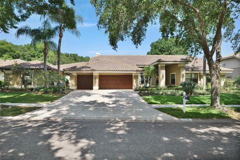 A home in PALM HARBOR