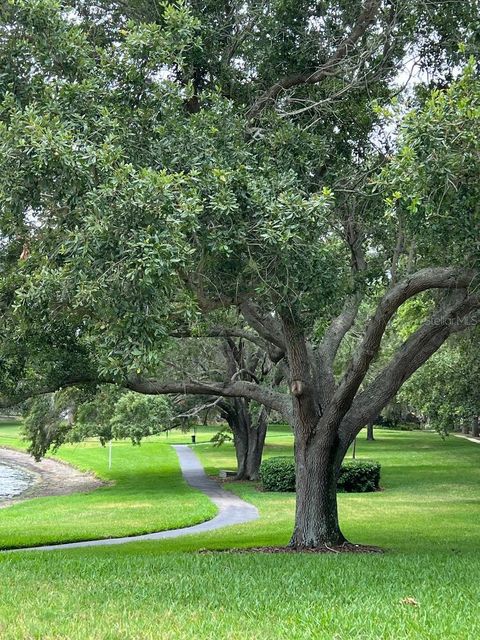 A home in PALM HARBOR