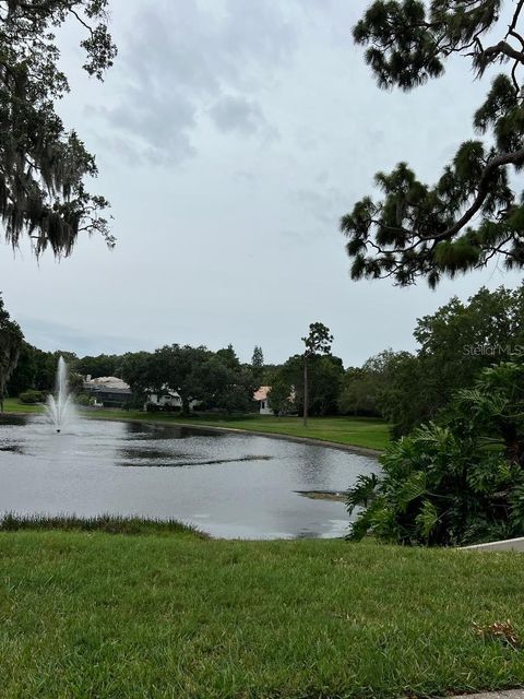 A home in PALM HARBOR