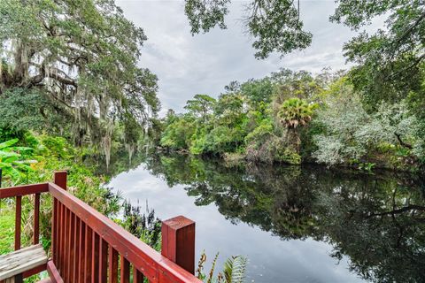 A home in TAMPA