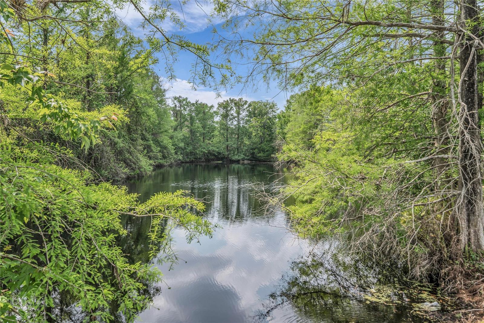 SOUTHBROOKE CONDO - Residential