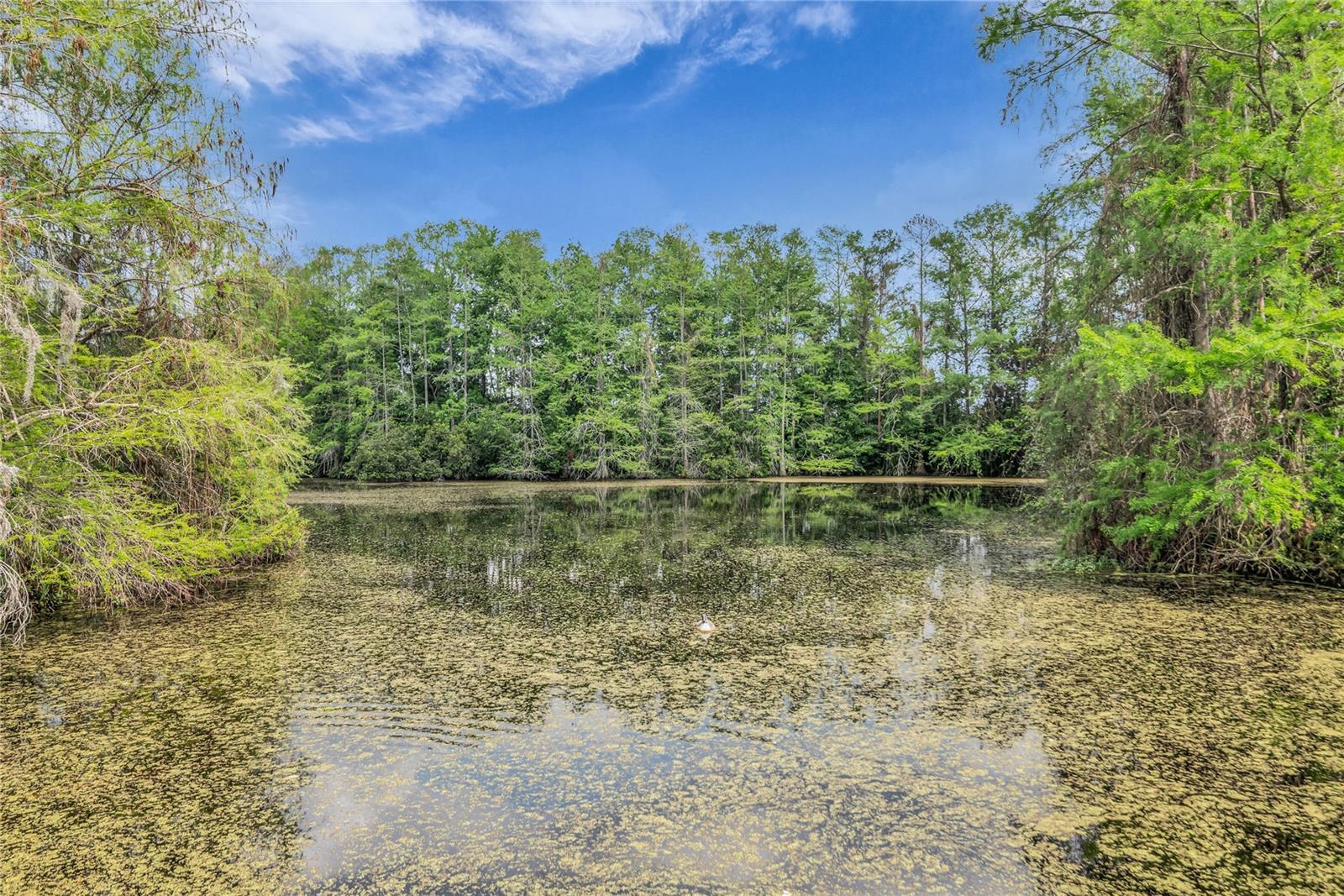 SOUTHBROOKE CONDO - Residential