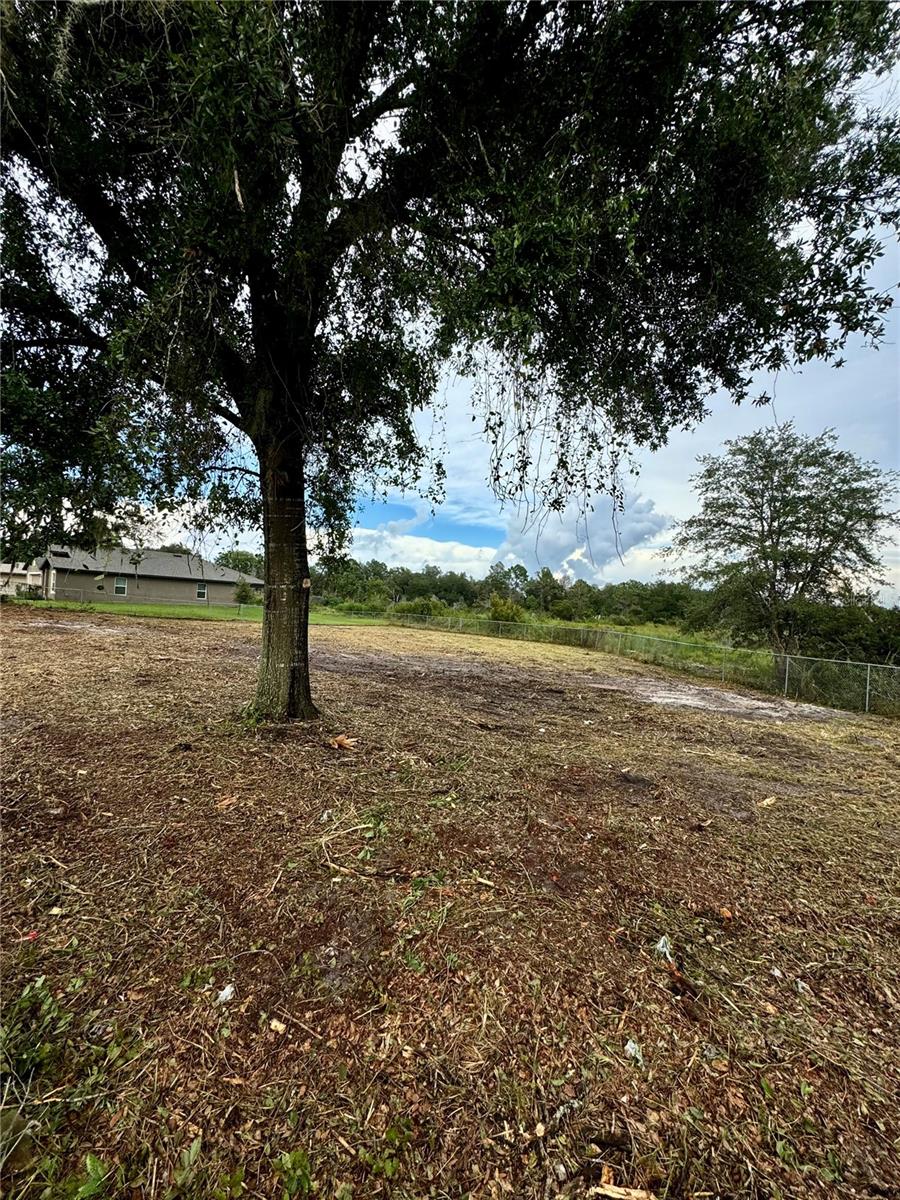 Welcome to your future oasis! This nearly 1/2-acre vacant lot, located in the peaceful community of Deltona, Florida, offers an incredible opportunity to build your dream home. Nestled along the serene shores of Lake Clara, this lot boasts beautiful lakefront views, providing the perfect backdrop for outdoor activities and tranquil living. Lot has been CLEARED and FENCED! Imagine waking up every morning to the gentle sounds of nature and enjoying sunsets over the calm waters of Lake Clara. With plenty of space to design your ideal home, this lot offers privacy and seclusion while still being conveniently close to local amenities and major roadways. Whether you're seeking a weekend getaway or a permanent residence, this parcel of land is a rare gem in Deltona, offering both natural beauty and an exceptional location. Don’t miss the chance to secure this slice of paradise! WATER and ELECTRIC available.