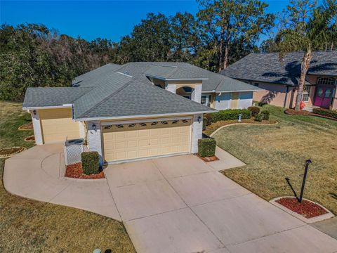 Photo of 9625 Oakwood Hills Court, New Port Richey, FL 34655 (MLS # W7882676)