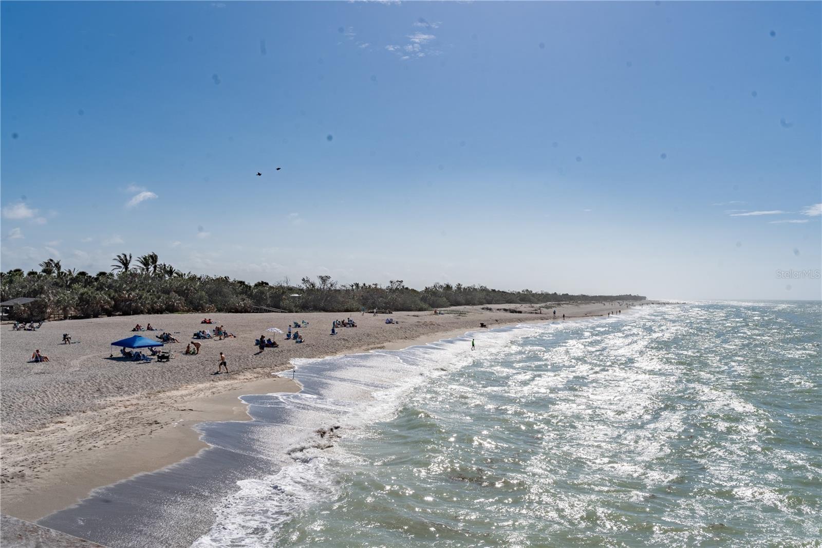 THE WATERFRONT ON VENICE ISLND - Residential