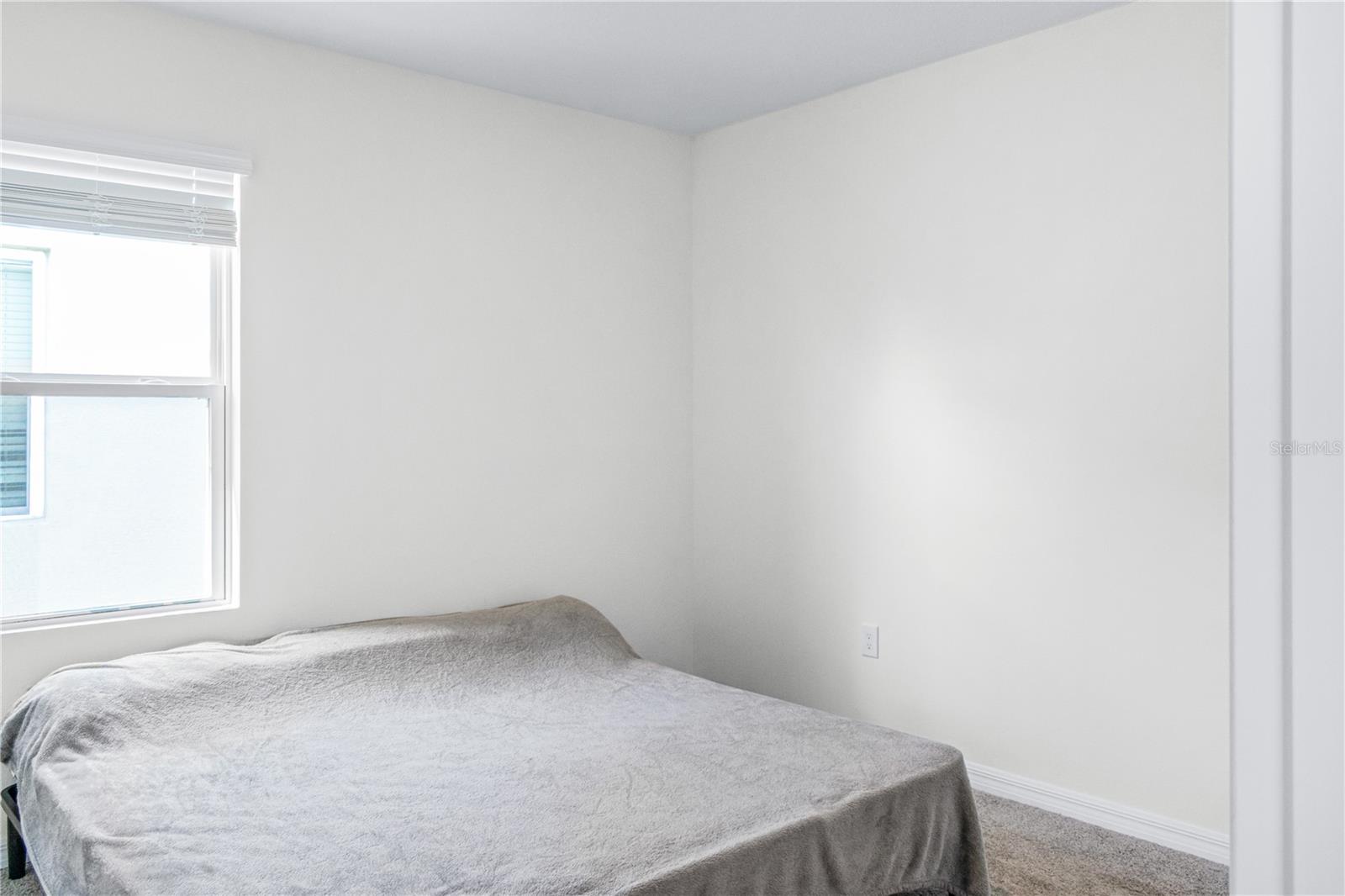 EAGLE HAMMOCK - Residential