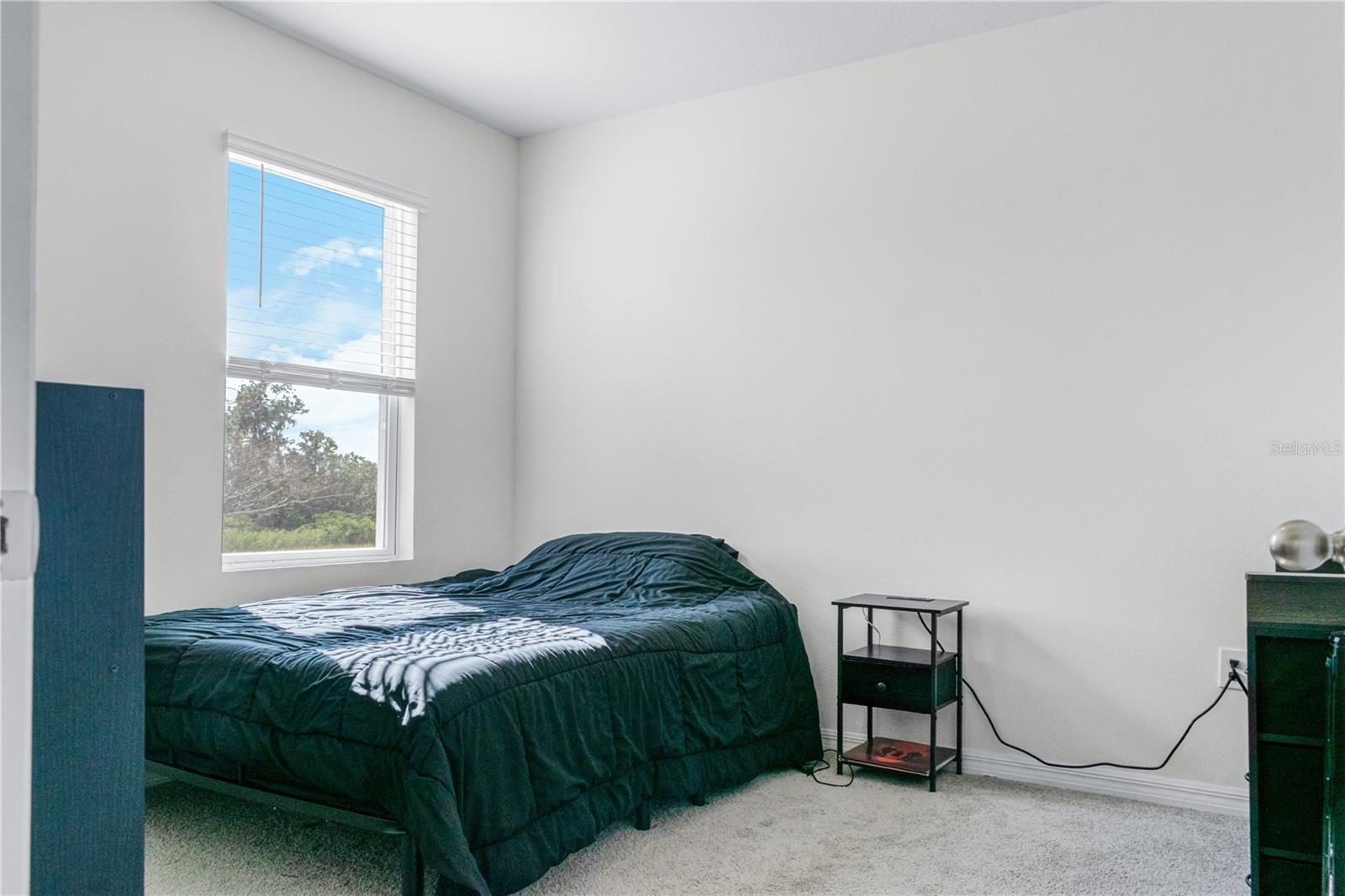 EAGLE HAMMOCK - Residential