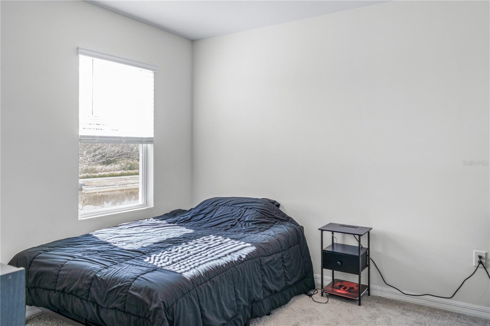 EAGLE HAMMOCK - Residential